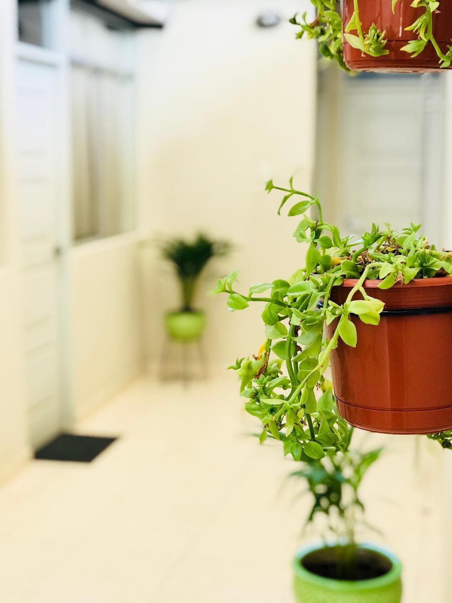 Garden House Piura Daire Dış mekan fotoğraf